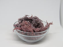 Load image into Gallery viewer, 2 oz St. Lucia Purple Sea moss