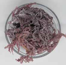 Load image into Gallery viewer, 1/2 lb St Lucia Purple Sea-Moss