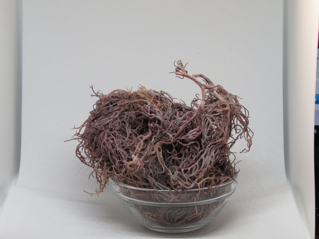 1lb St Lucia Purple Sea-Moss