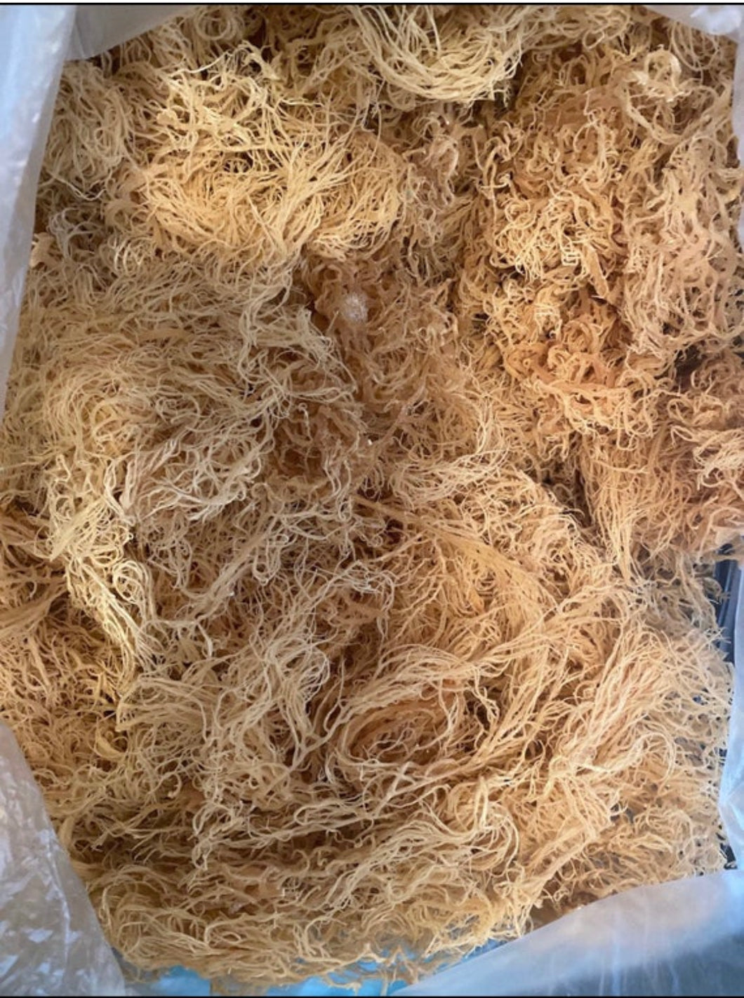 5lbs Wild crafted St. Lucia Sea-Moss